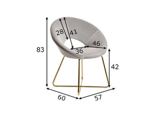 Обеденный стул Sky, серый цена и информация | Стулья для кухни и столовой | kaup24.ee