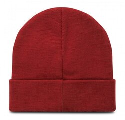 Champion müts, punane цена и информация | Мужские шарфы, шапки, перчатки | kaup24.ee