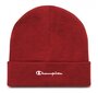Champion müts, punane hind ja info | Meeste sallid, mütsid ja kindad | kaup24.ee