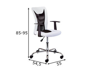 Офисное кресло Interlink, белое/черное цена и информация | Офисные кресла | kaup24.ee