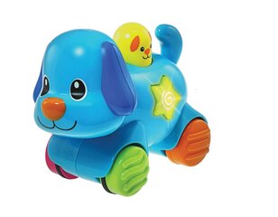 WinFun Vajuta ja sõida kutsikas heli ja valgusega hind ja info | Imikute mänguasjad | kaup24.ee