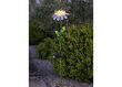 Päikesepaneeliga dekoratsioon Daisy hind ja info | Aia- ja õuevalgustid | kaup24.ee