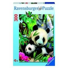 Пазл Ravensburger 300 деталей Медведи Панды цена и информация | Пазлы | kaup24.ee