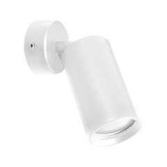 Белый декоративный светильник Daria wll gu10 Strühm, 140x60x85 мм цена и информация | Потолочные светильники | kaup24.ee