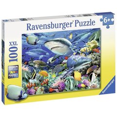 Пазл Ravensburger 100 шт Акула цена и информация | Пазлы | kaup24.ee