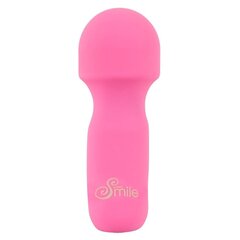 Вибратор Sweet Smile Mini Wand, 10,9 см цена и информация | Вибраторы | kaup24.ee