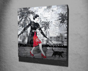 Репродукция Женщина с котом цена и информация | Картины, живопись | kaup24.ee