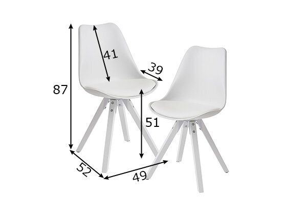 Söögitoolide komplekt Scandinavish, 2 tk hind ja info | Söögitoolid, baaritoolid | kaup24.ee