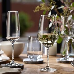 Vivo by Villeroy & Boch valge veini klaasid Voice Basic, 4 tk hind ja info | Klaasid, tassid ja kannud | kaup24.ee