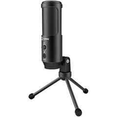 Микрофон LORGAR Voicer 521, чёрный цена и информация | Микрофоны | kaup24.ee