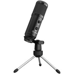 Игровой микрофон LORGAR Soner 313, черный цена и информация | Микрофоны | kaup24.ee