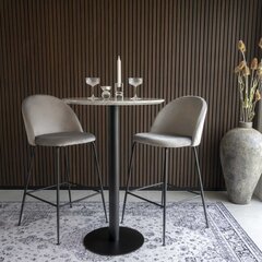 2-tooliga komplekt House Nordic Lausanne, hall цена и информация | Стулья для кухни и столовой | kaup24.ee