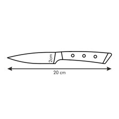 Нож Tescoma Azza, 9 см цена и информация | Ножи и аксессуары для них | kaup24.ee