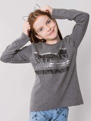 Tüdrukute pluus, hall hind ja info | Tüdrukute särgid | kaup24.ee