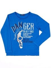Синяя кофточка для мальчика с принтом. цена и информация | Рубашки для мальчиков | kaup24.ee