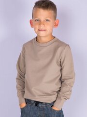 Laste dressipluus hind ja info | Poiste kampsunid, vestid ja jakid | kaup24.ee