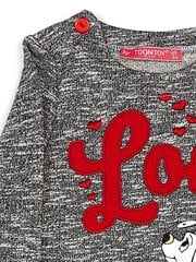 Джемперы для девочек цена и информация | Рубашки для девочек | kaup24.ee