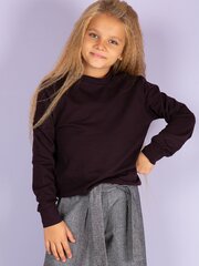 Laste dressipluus, lilla цена и информация | Свитеры, жилетки, пиджаки для мальчиков | kaup24.ee