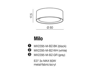 Azzardo потолочный светильник Milo AZ2317 цена и информация | Потолочные светильники | kaup24.ee