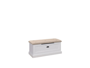 Обувной шкаф ADRK Furniture GAL PO2, белый/коричневый цена и информация | ADRK Furniture Мебель для прихожей | kaup24.ee