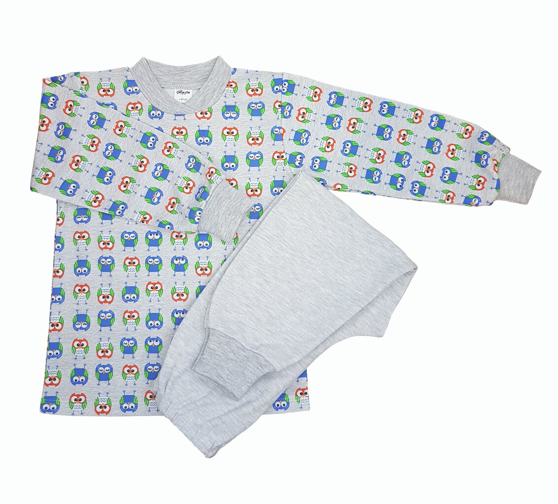 Laste pidžaama pikkade varrukatega, Galatex цена и информация | Poiste hommikumantlid ja pidžaamad | kaup24.ee