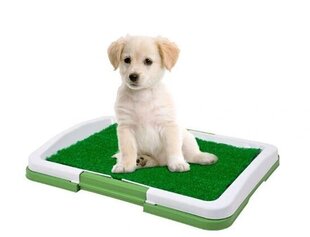 Травяной туалет для собак и щенков цена и информация | Средства по уходу за животными | kaup24.ee