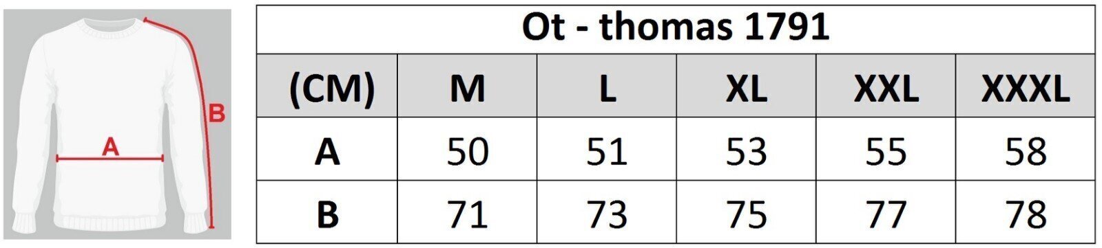 Meeste kampsun Ot-thomas 1791, sinine цена и информация | Meeste kampsunid | kaup24.ee