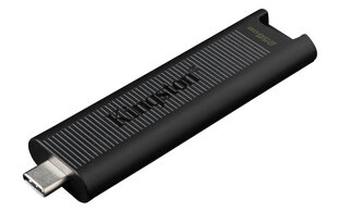 Kingston DataTraveler 256GB USB 3.2 цена и информация | USB накопители | kaup24.ee