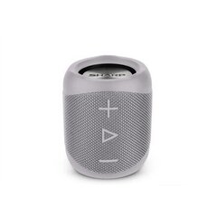 Sharp GX-BT180GR, серый цена и информация | Аудиоколонки | kaup24.ee