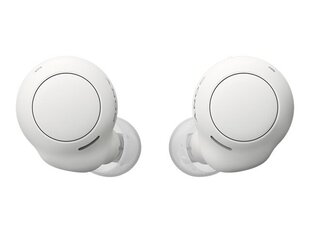 SONY WFC500W.CE7 white цена и информация | Беспроводные наушники | kaup24.ee