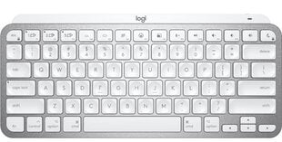 Беспроводная клавиатура Logitech MX Keys Mini Mac цена и информация | Клавиатуры | kaup24.ee