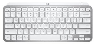 Juhtmevaba klaviatuur Logitech MX Keys Mini, SWE, valge - 920-010493 hind ja info | Klaviatuurid | kaup24.ee