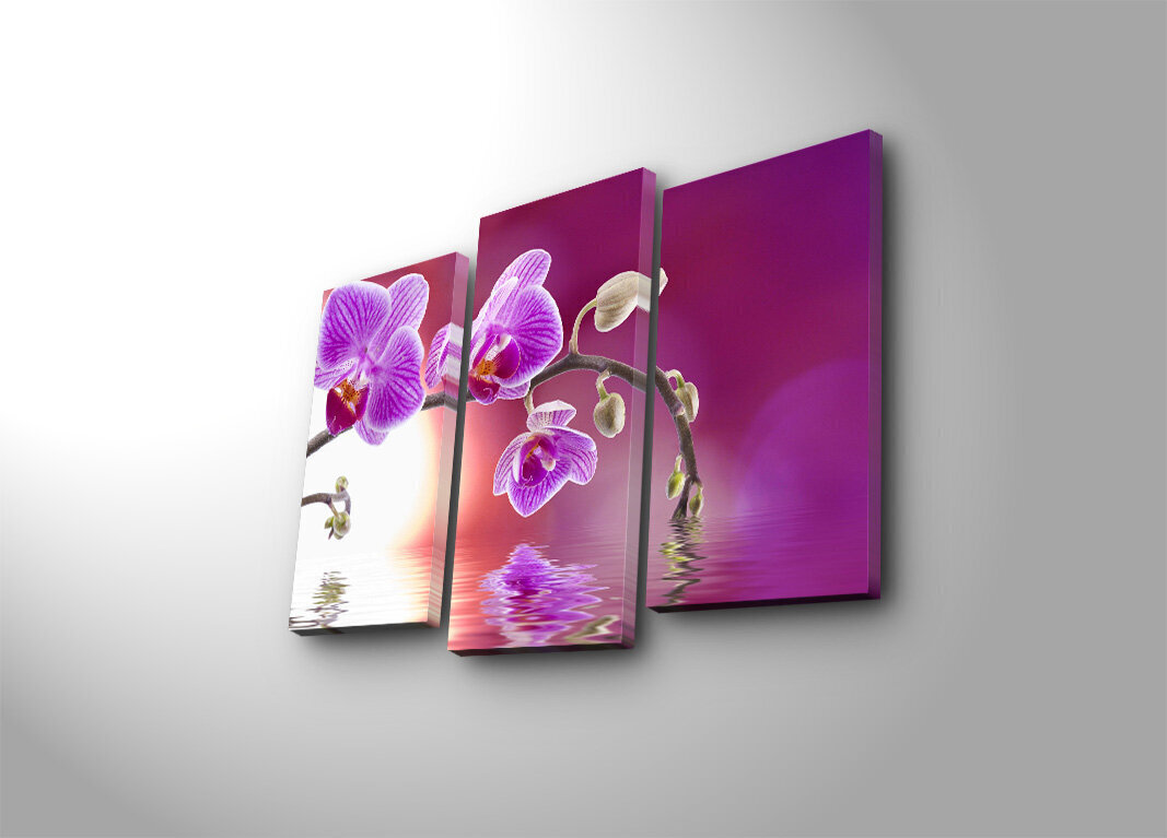 Kolmeosaline reproduktsioon Purpurne orhidee hind ja info | Seinapildid | kaup24.ee
