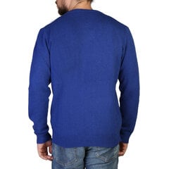 Свитер для мужчин, синий цена и информация | Мужские свитера | kaup24.ee