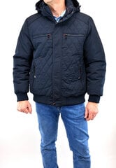 Куртка мужская Skorp 215D цена и информация | Мужские куртки | kaup24.ee