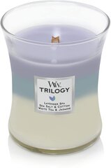 WoodWick lõhnaküünal Trilogy Calming Retreat, 275 g цена и информация | Подсвечники, свечи | kaup24.ee