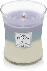 WoodWick ароматическая свеча Trilogy Calming Retreat, 275 г цена и информация | Подсвечники, свечи | kaup24.ee