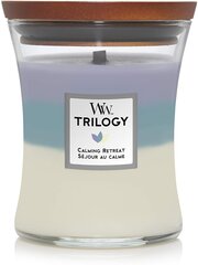 WoodWick ароматическая свеча Trilogy Calming Retreat, 275 г цена и информация | Свечи, подсвечники | kaup24.ee
