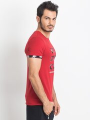 Мужская футболка Tommy Life, красная цена и информация | Мужские футболки | kaup24.ee