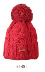 Helkurniidiga müts Reflection, punane hind ja info | Naiste mütsid ja peapaelad | kaup24.ee
