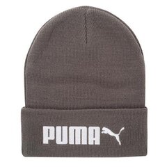 Müts Puma Ess Beanie No. 2 Castlerock 02288703, pruun цена и информация | Женские шапки | kaup24.ee