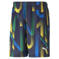 Spordipüksid meestele Puma Neymar JR Hero Shorts 60555206, erinevad värvid цена и информация | Мужская спортивная одежда | kaup24.ee