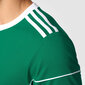 Meeste jalgpallisärk Adidas Squadra 17, roheline hind ja info | Jalgpalli varustus ja riided | kaup24.ee