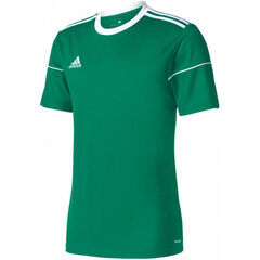 Футболка мужская Adidas Squadra 17, зеленая цена и информация | Футбольная форма и другие товары | kaup24.ee