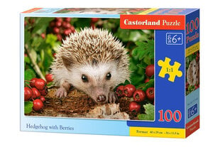 Pusle 100 Hedgehog With Berries 111145 hind ja info | Pusled | kaup24.ee