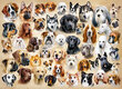 Pusle 200 Collage with Dogs 222162 hind ja info | Pusled | kaup24.ee