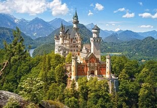 Puzzle 500 View of the Neuschwanstein Castle, Germany 53544 hind ja info | Pusled | kaup24.ee