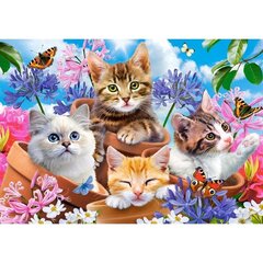 Puzzle 500 Kittens with Flowers 53513 hind ja info | Pusled | kaup24.ee