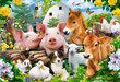 Puzzle 40 Farm Friends 040339 hind ja info | Pusled | kaup24.ee