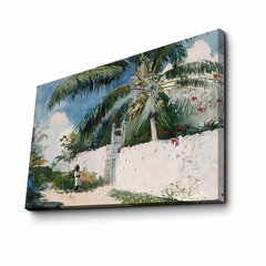 Репродукция A Garden in Nassau (Winslow Homer) цена и информация | Картины, живопись | kaup24.ee